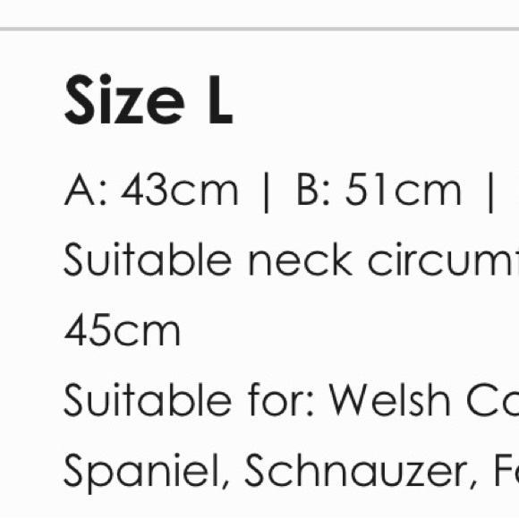 William Walker Leather Dog Collar, Size Large, Color: Lavendar - Picture 8 of 8